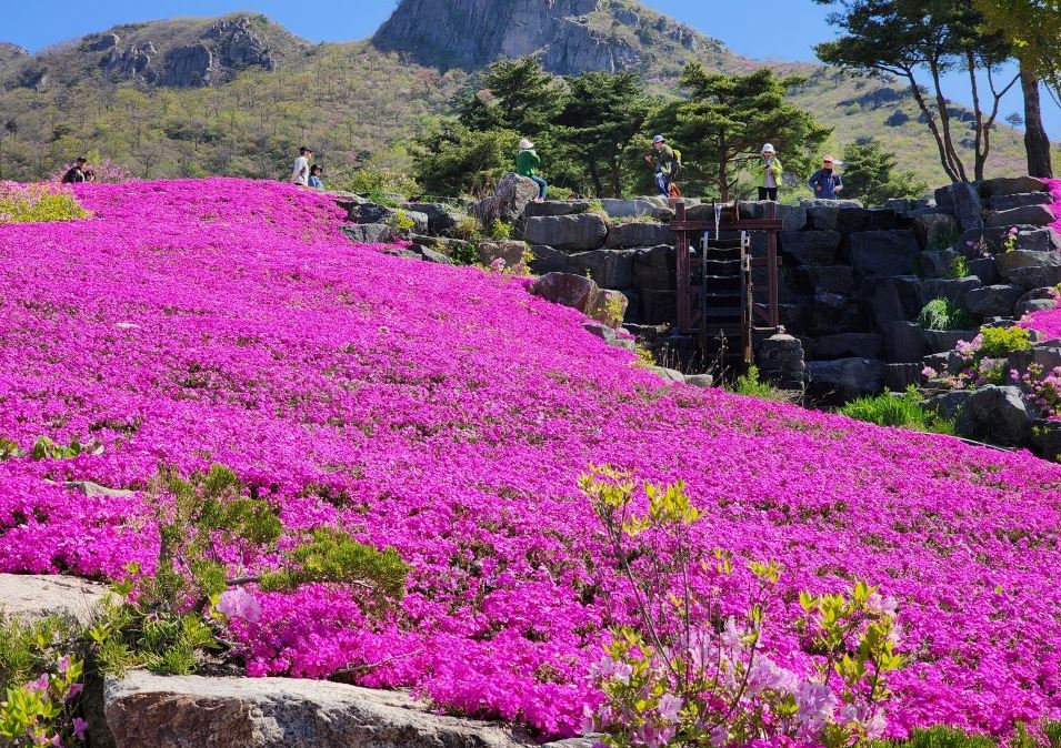 황매산 오토캠핑장