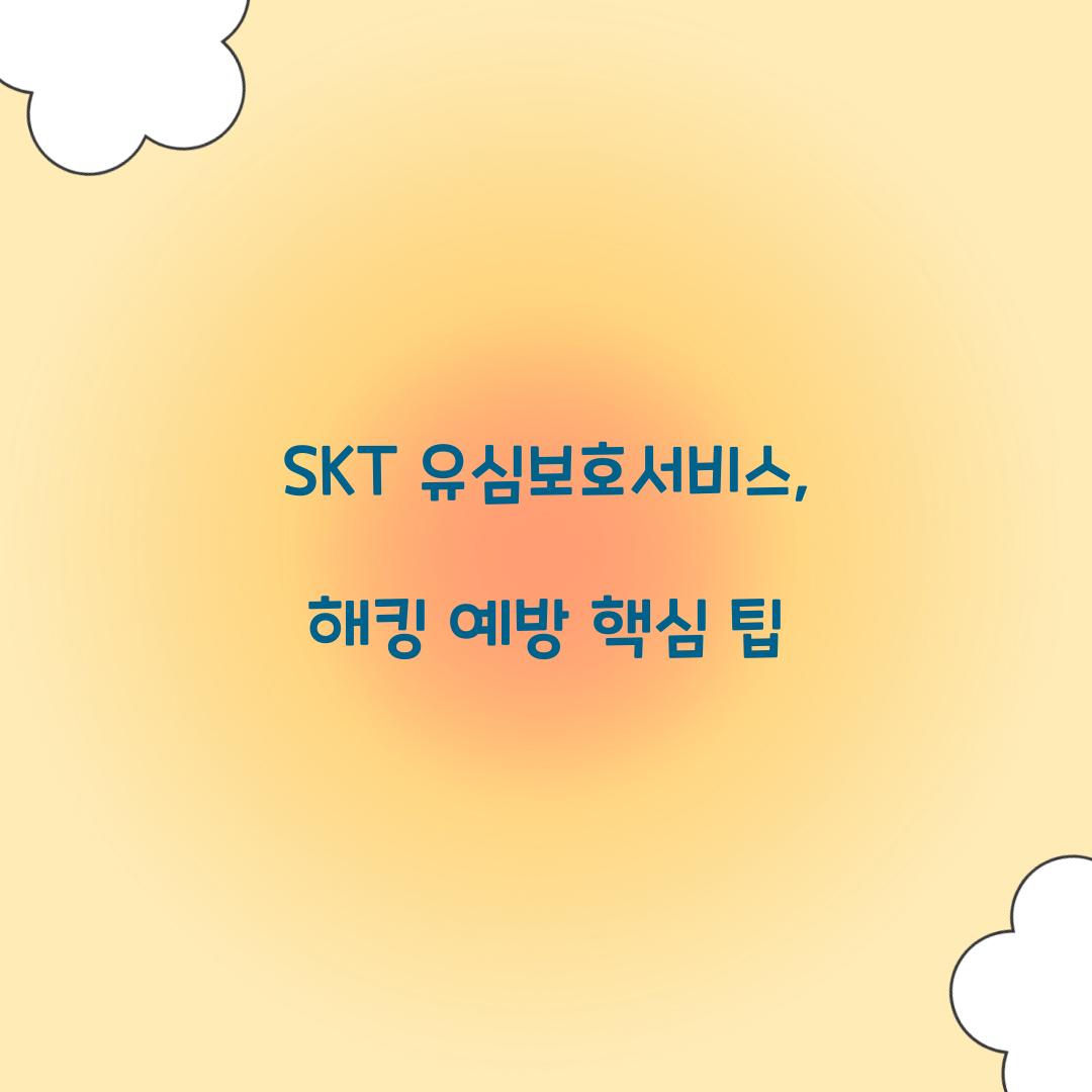 SKT 유심보호서비스