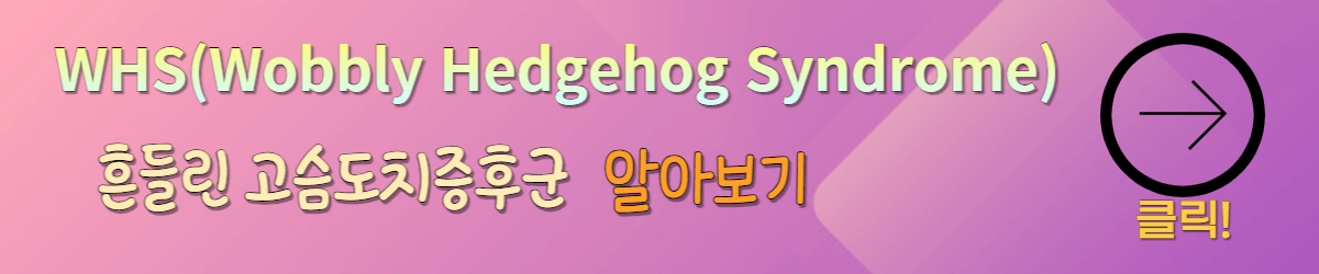 고슴도치 키우는방법