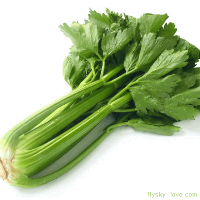 셀러리 효능