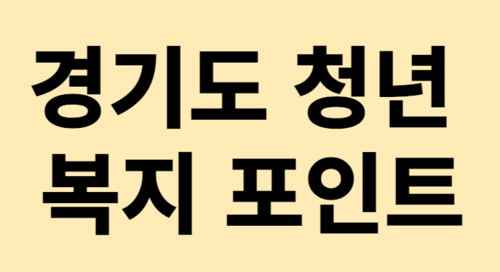 경기도 청년 복지 포인트