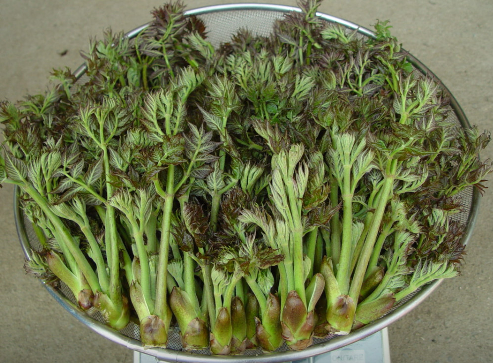 극한직업 명이나물