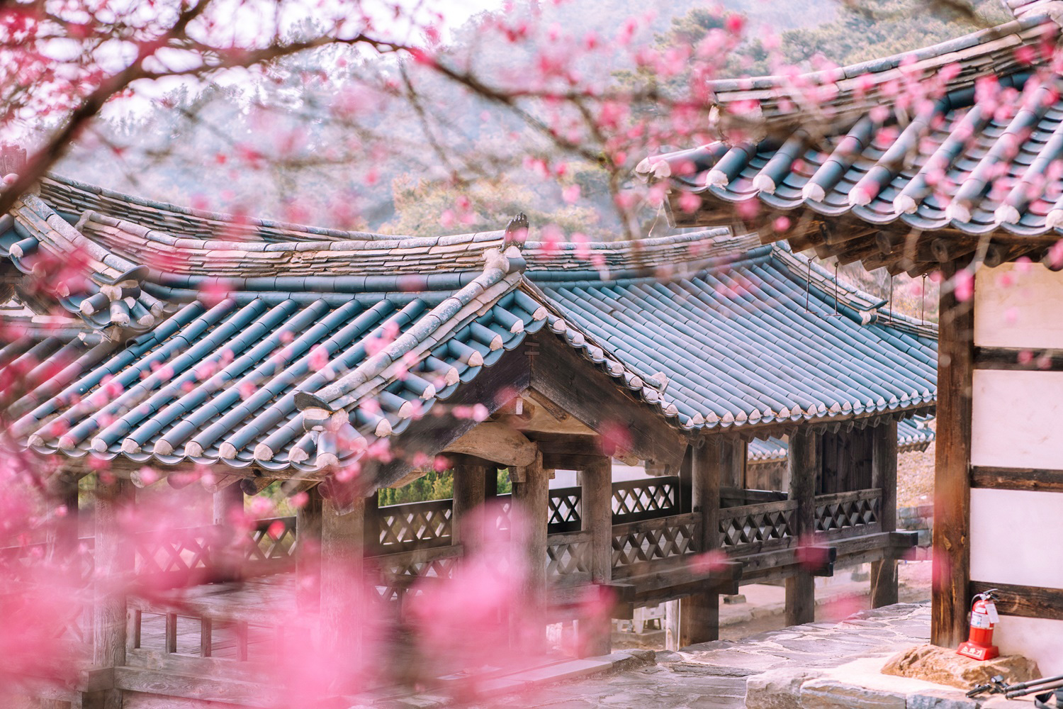 논산 1인 가구 생활비 상세 분석 — 중소 도시 생활 구조를 기준으로 본 현실적인 1인 생활비