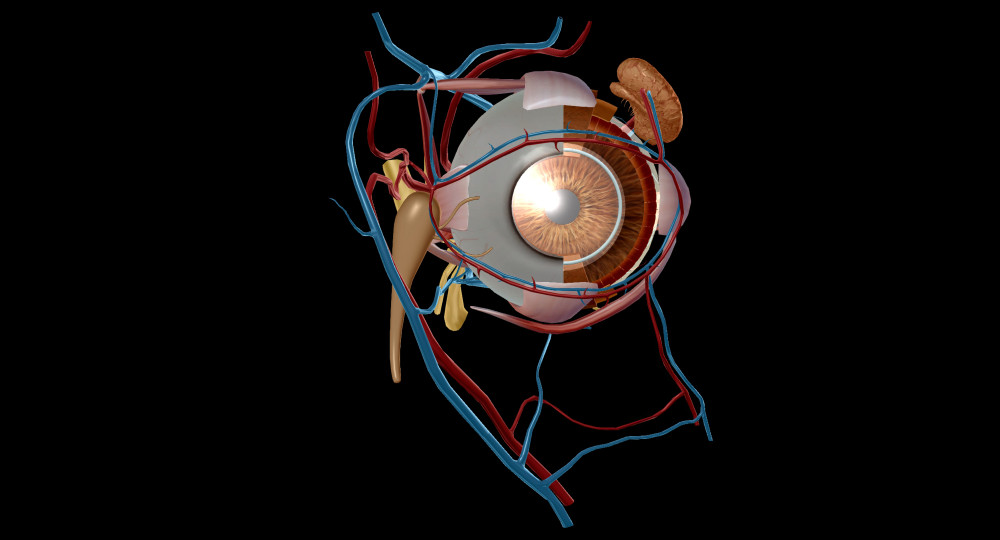 백내장 수술비용