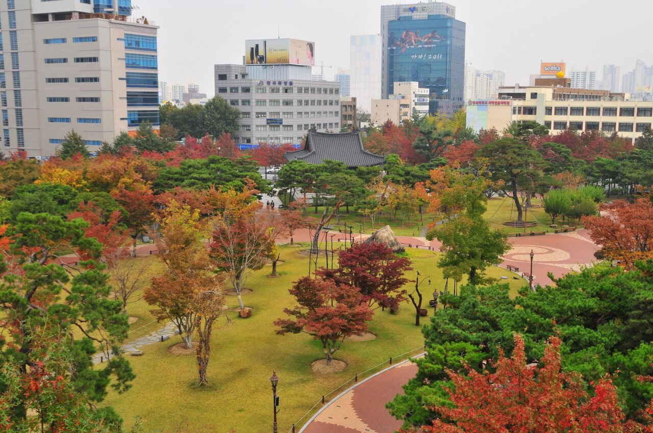 대구 가볼만한 단풍 여행은 어디일까? 대구 단풍 여행 총정리!