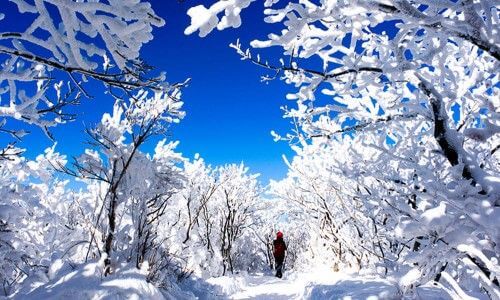 덕유산 실시간 CCTV