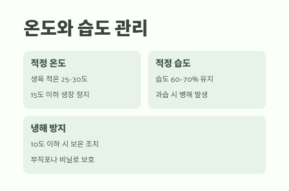 고구마 심는 시기 알아보기 12