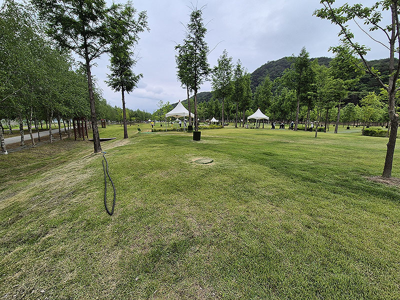 강원도 화천군 화천산천어파크골프장 소개