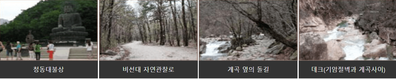 비선대~소공원 구간