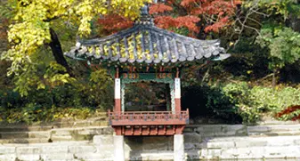 창덕궁 후원