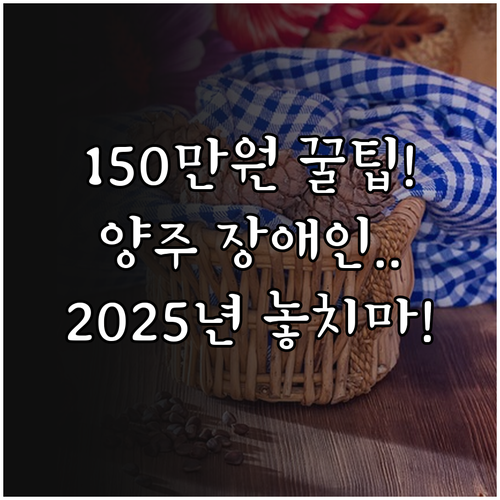 장애인가정 2025 양주시 출산 15..