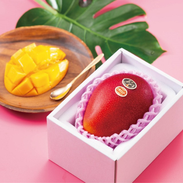 비싼 과일, 타이요 노타마고 망고, 매일꿀정보