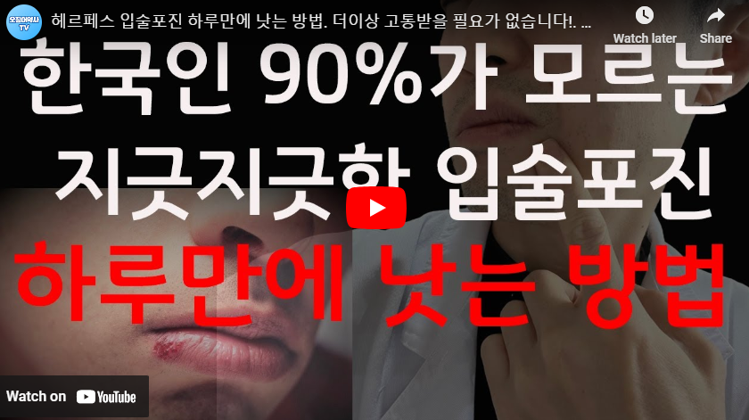 출처 : https://youtu.be/CZhzeU_qg9M?si=_7cpCgiKdNwRInhG