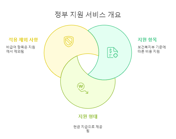 정부 지원 서비스 개요