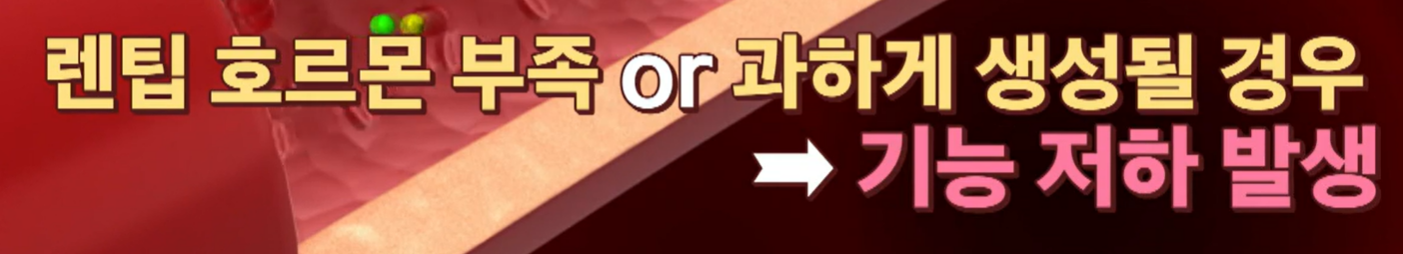 bnr17 유산균 효능