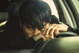 🎬 [넷플릭스 화제작]&amp;#44; 