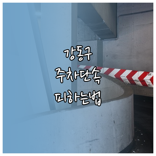 강동구 불법 주정차 과태료 기준과 단..