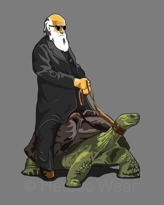 갈라파고스 증후군 유래