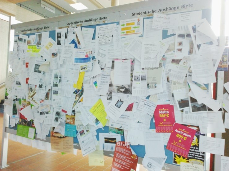 괴팅겐 대학내 게시판