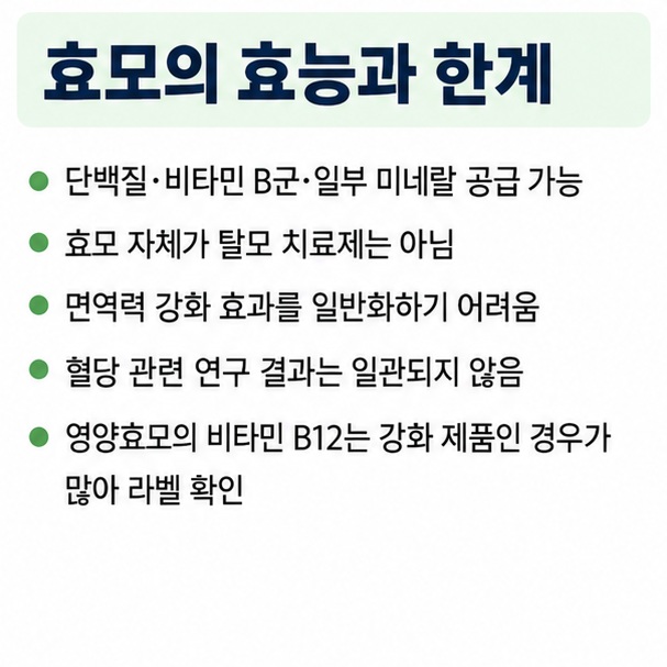 효모의 단백질 비타민 B군 영양 공급과 탈모 면역 혈당 효과는 과장하지 않아야 함을 보여주는 근거 안내 인포그래픽