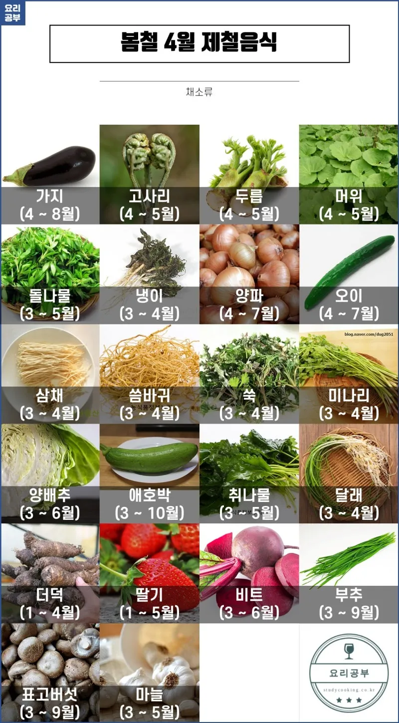 4월 제철음식 제철 생선 과일 채소 모음_6