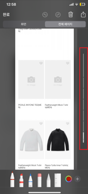 전체 페이지 스크린샷 확인