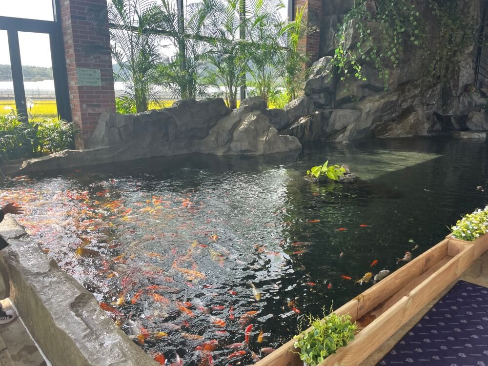 용인-리프-플레이스-카페내에-설치된-인공-연못