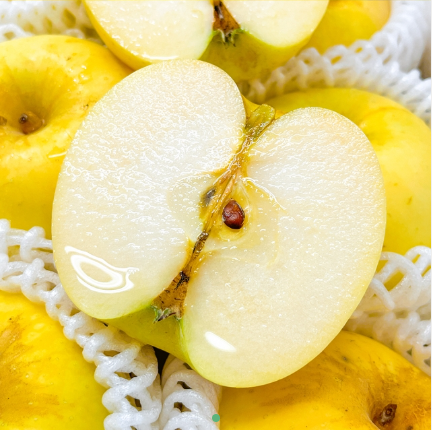 시나노-골드사과-수확시기-10kg-가격-효능