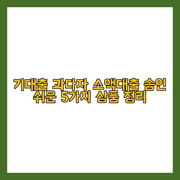 기대출 과다자 소액대출