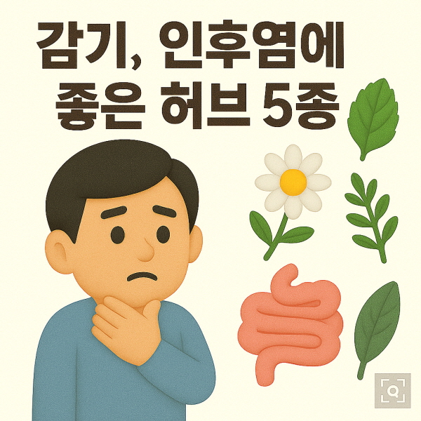 감기&middot;인후염에 좋은 허브 5종/gpt