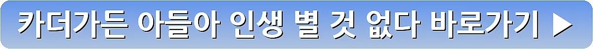 카더가든 아들아 인생 별 것 없다_6