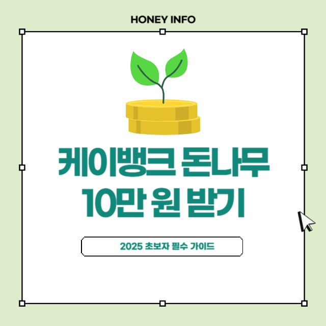 케이뱅크 돈나무