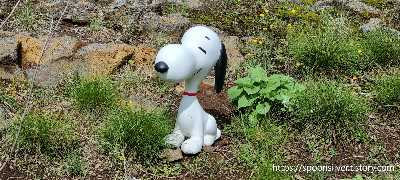 제주스누피가든