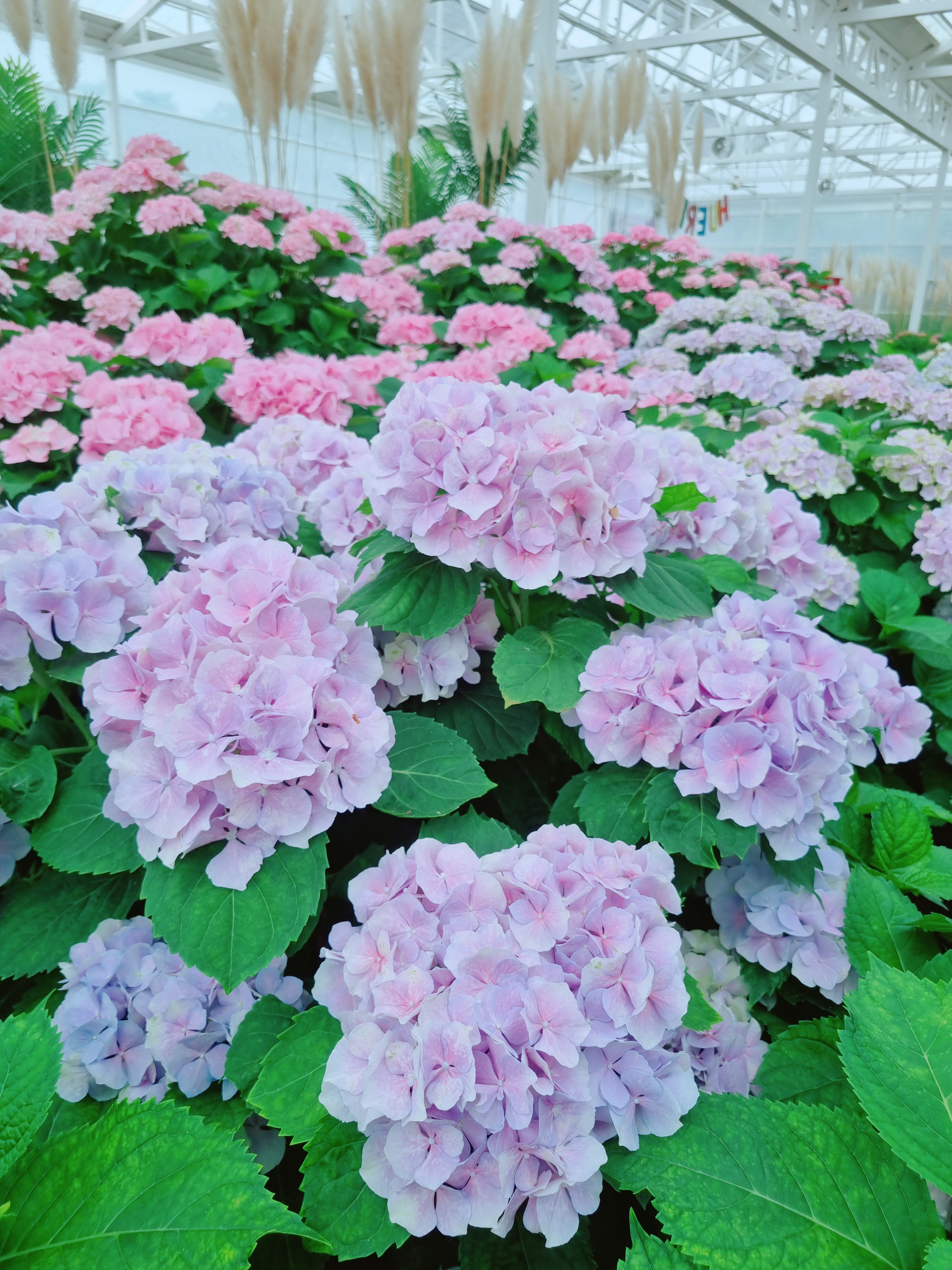 휴애리 자연생활공원