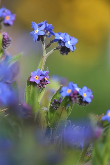 걱정말아요 그대 악보 합창 기타 가사 드럼 악보_7