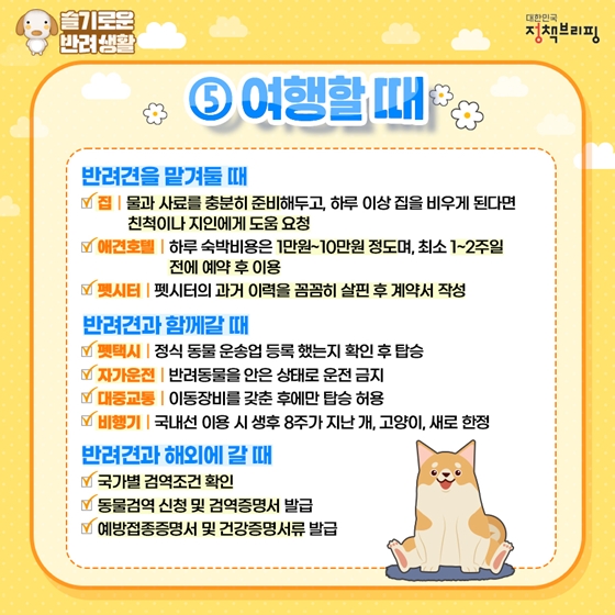 강아지여행