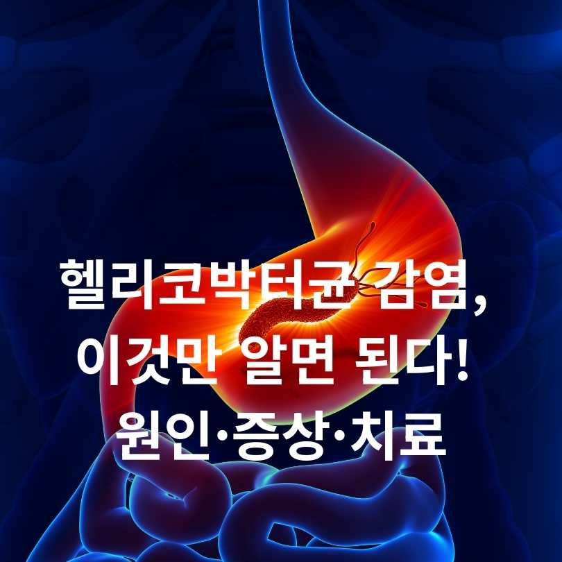헬리코박터균 감염