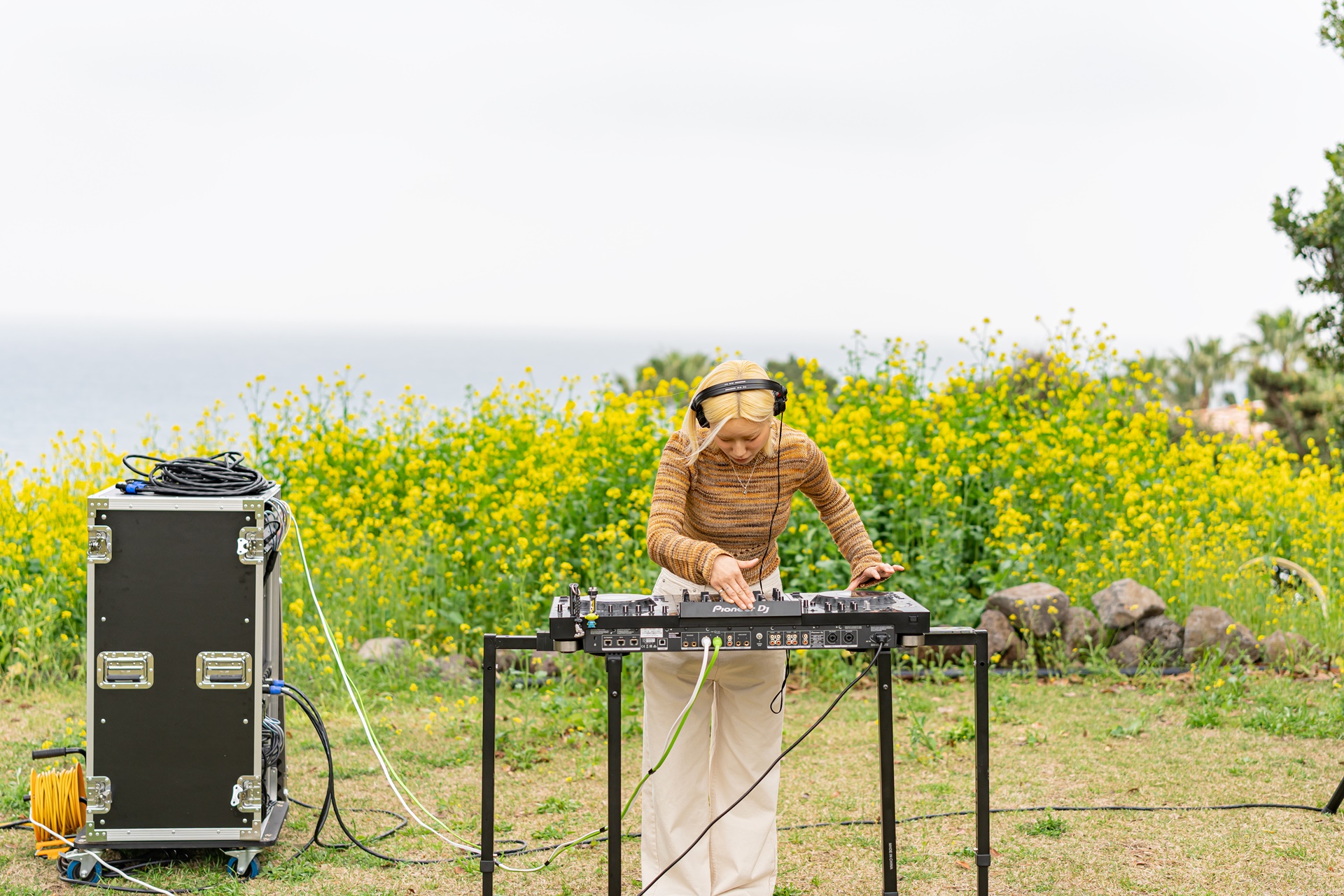 #JW가든 #JW메리어트제주 #댄싱두루미 #더플라잉호그 #아일랜드키친 #유채꽃 #제주사진 #제주여행 #제주유채꽃 #제주호텔