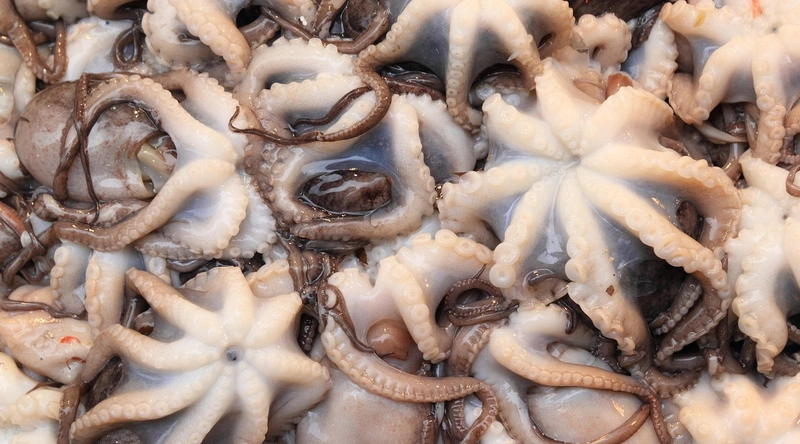 공장 자동화 설비 시공비용 결정 요소