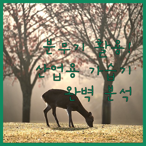 가습기 대용 분무기 활용 팁과 미세 ..