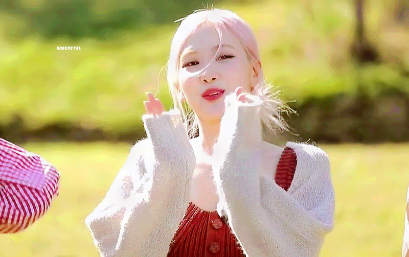 로제 사진