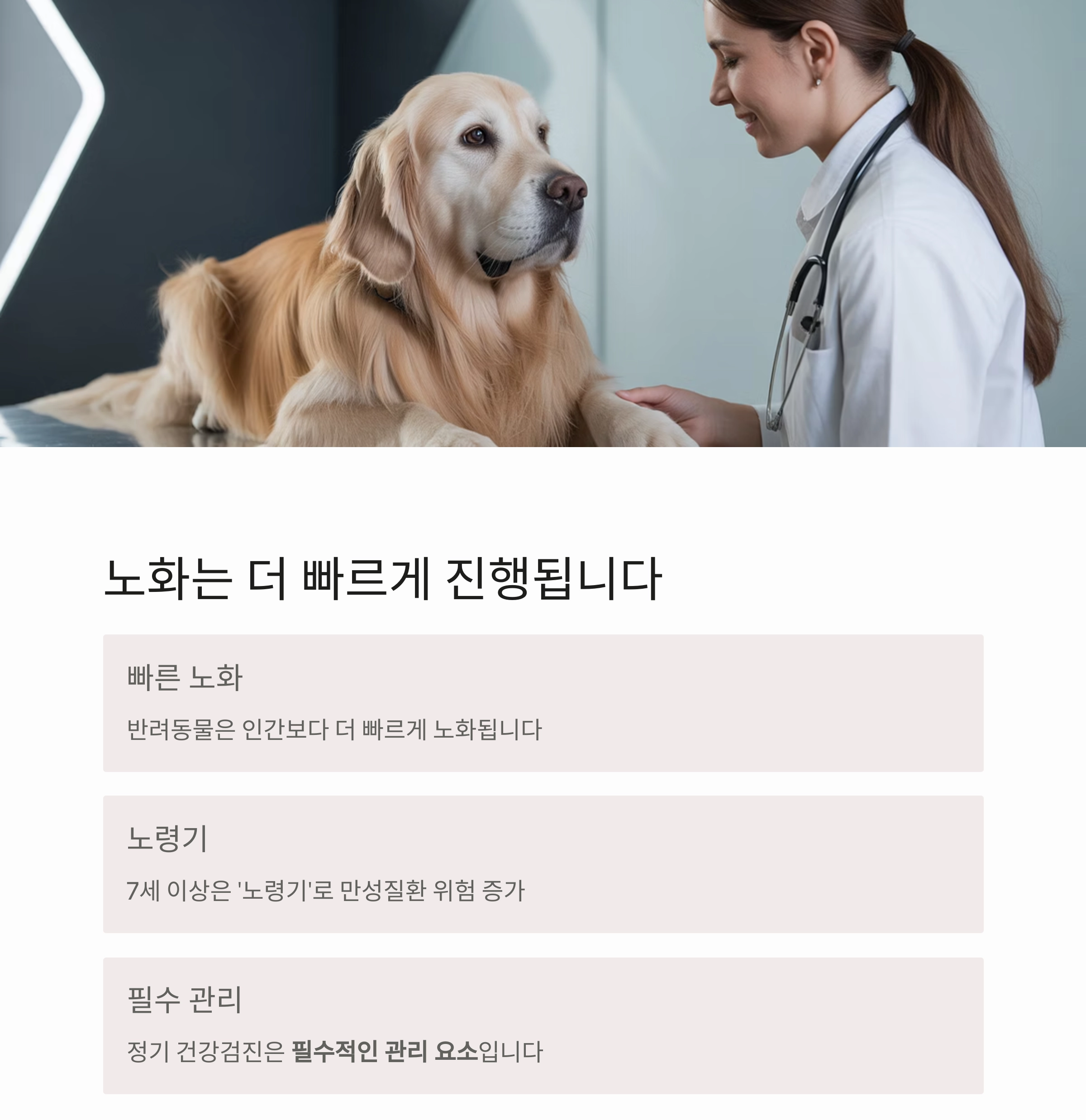 반려동물 건강관리, 1년에 한 번은 꼭 필요한 이유