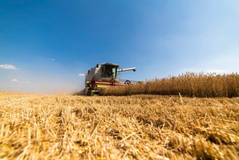 공익직불금 신청하기