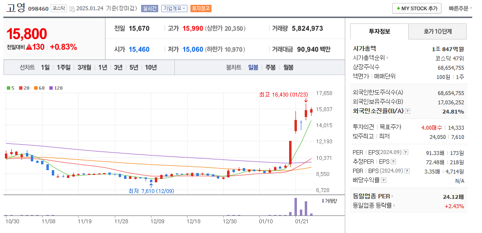 딥시크 주식