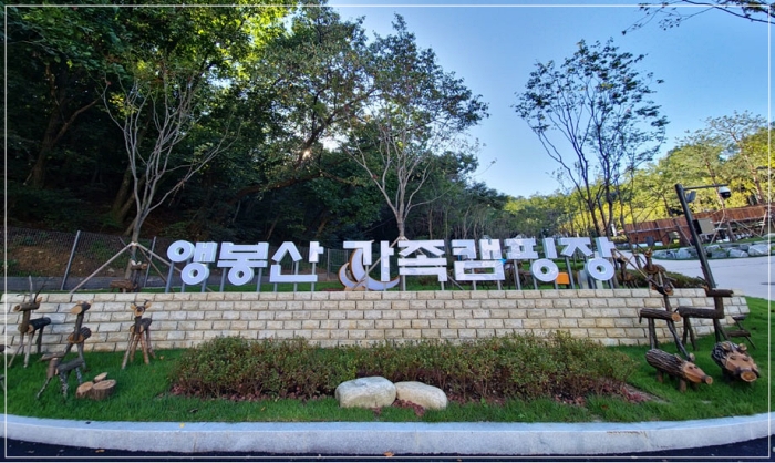 앵봉산캠핑장-전경