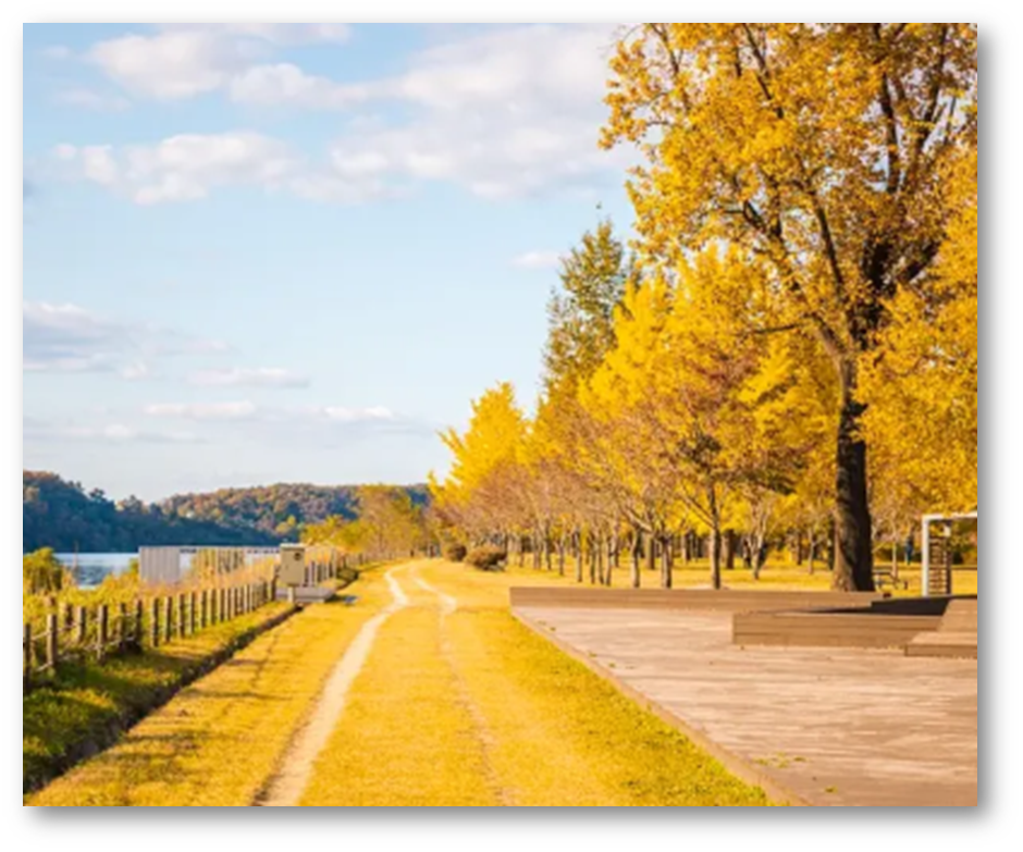 강천섬 유원지2