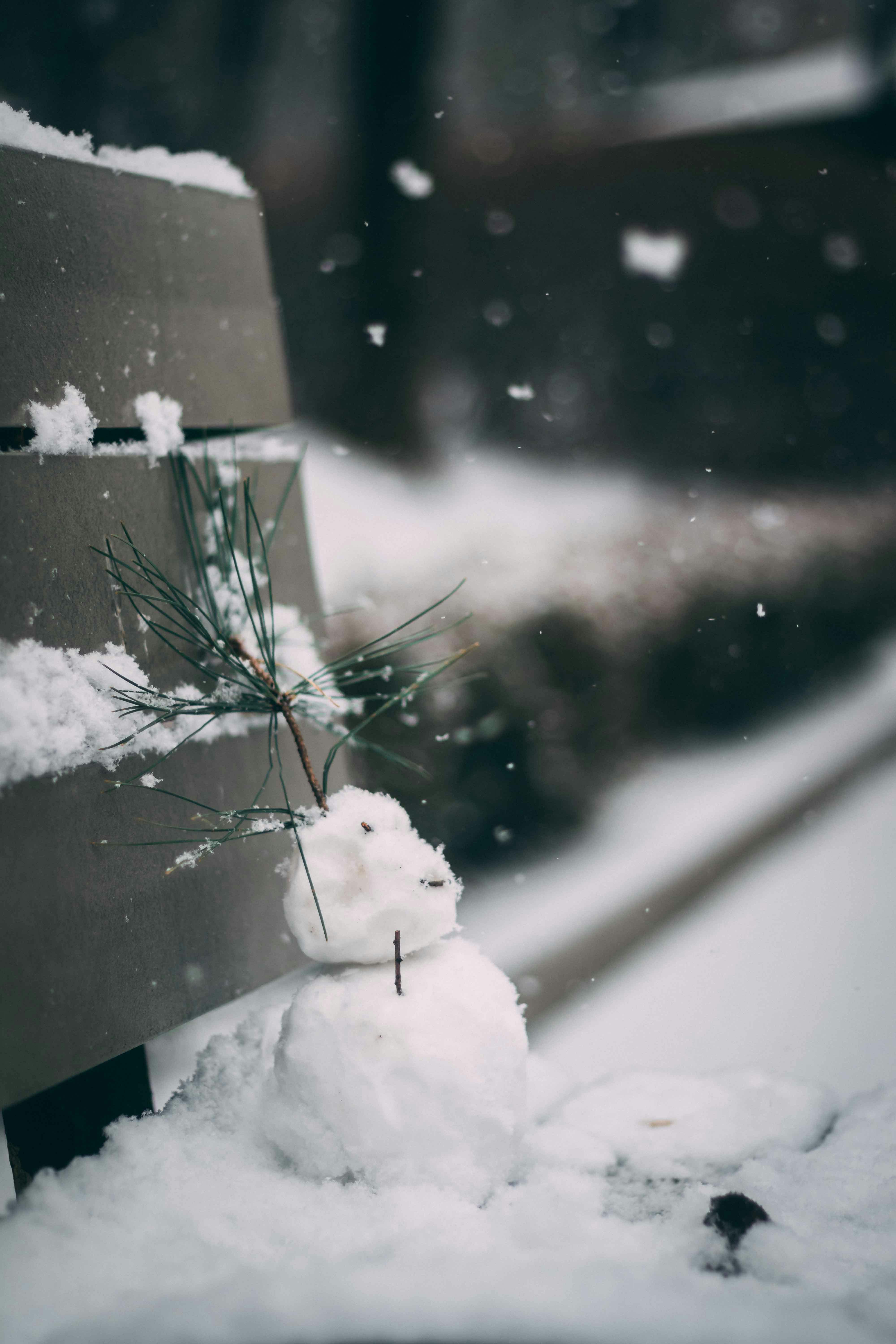 겨울철 면역력 관리