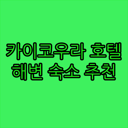카이코우라 부티크 호텔 꼼꼼 후기 해
