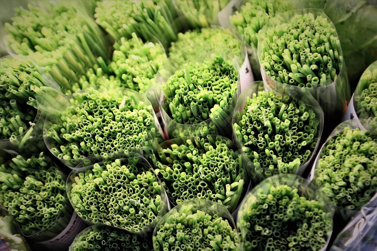 부추의 효능과 영양 성분, 건강을 위한 자연의 보약!