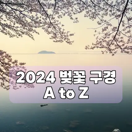 벚꽃 개화시기